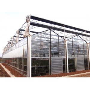 Venlo Glass Cover Greenhouse