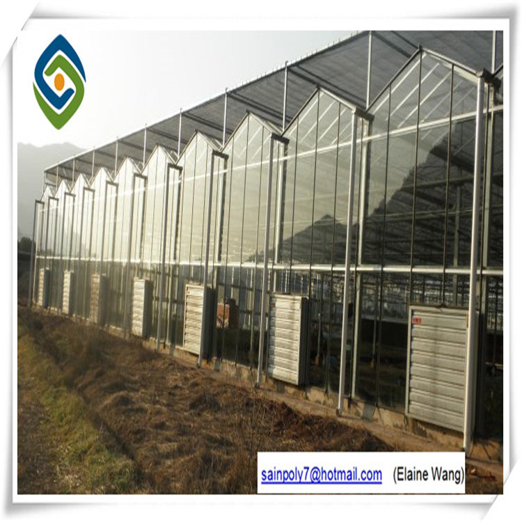 Professional Cheapest Glass Insulated Tempered Glass Greenhouse