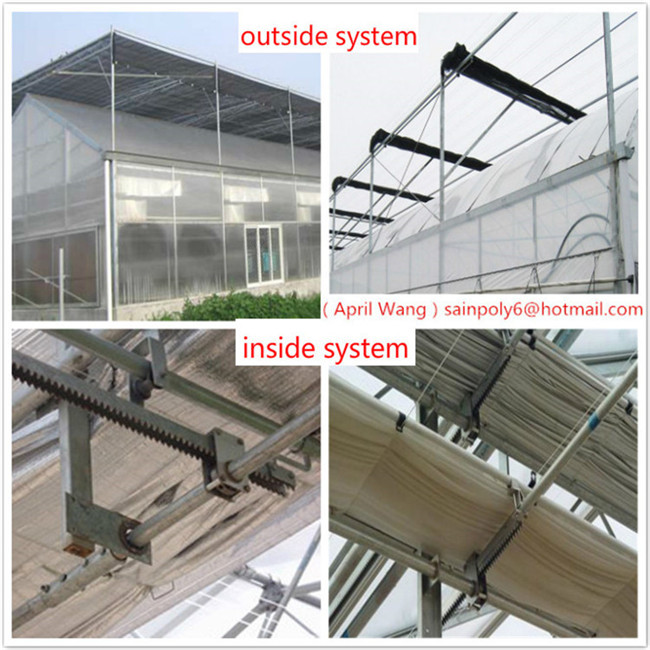 Low Price and Easily Installed Glass Multi-Span Venlo Greenhouse for Sale