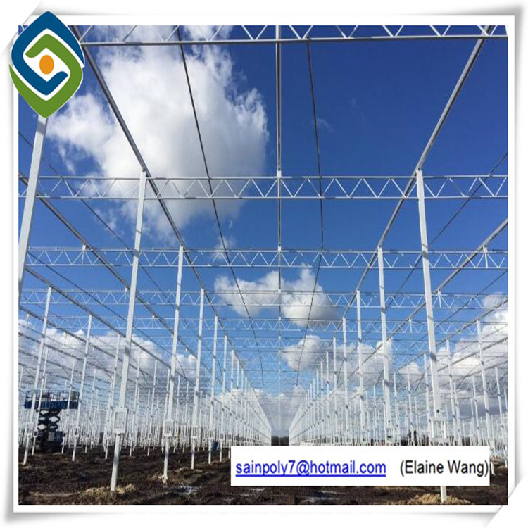 Professional Galvanized Steel UV Treated Plastic Film Greenhouse