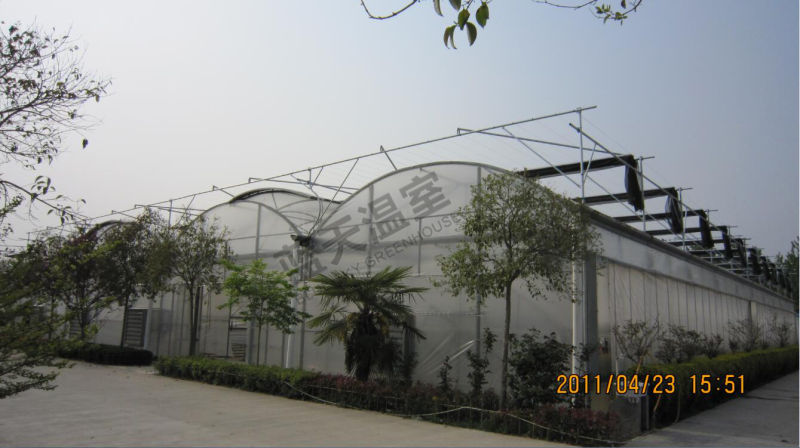 Good Cost Performance Polycarbonate Sheet Greenhouse