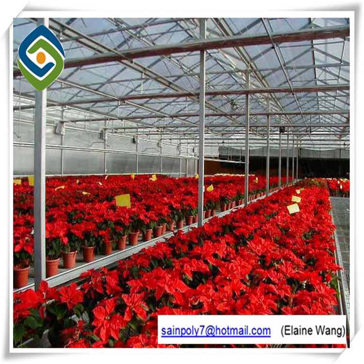 Manufacturer Tunnel Greenhouse Tempered Glass Panels Green House