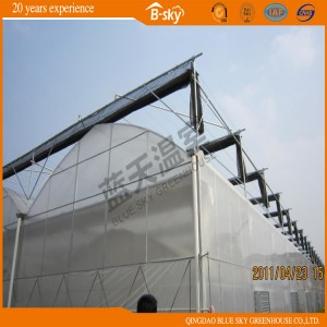 Top Film Covered Facade PC Sheet Greenhouse for Planting Fruits