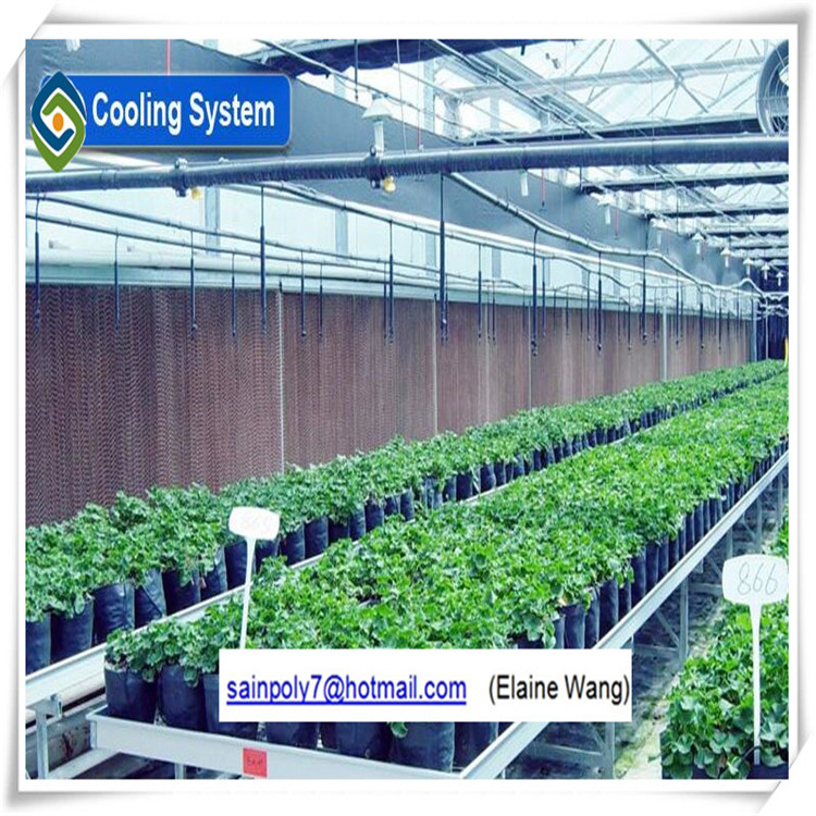 Plastic PE Film Greenhouse Hot Sale for Agriculture