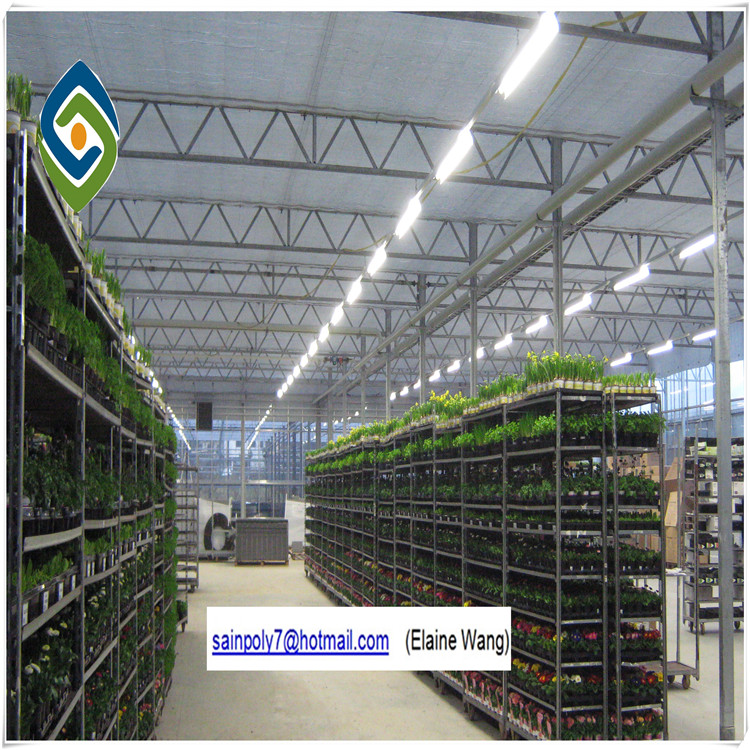 Venlo Type Glass Covered Tomato Greenhouse with Hydroponic Systems