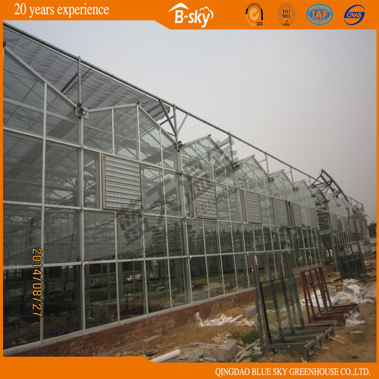 Good Appearance Long Life-Span Greenhouse