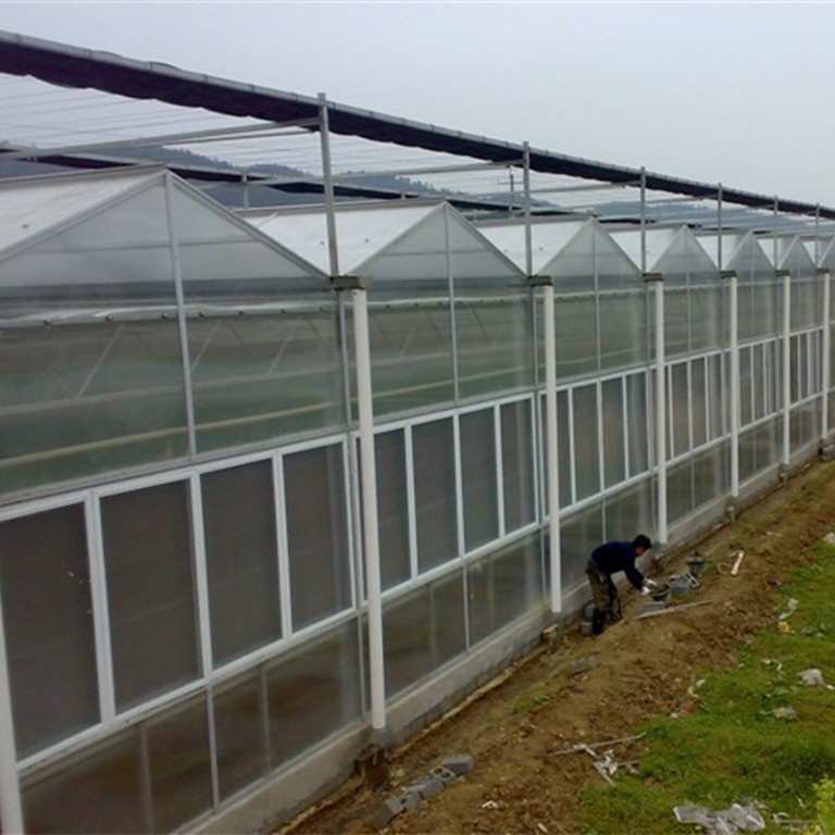 Venlo PC Greenhouse Fp108g40