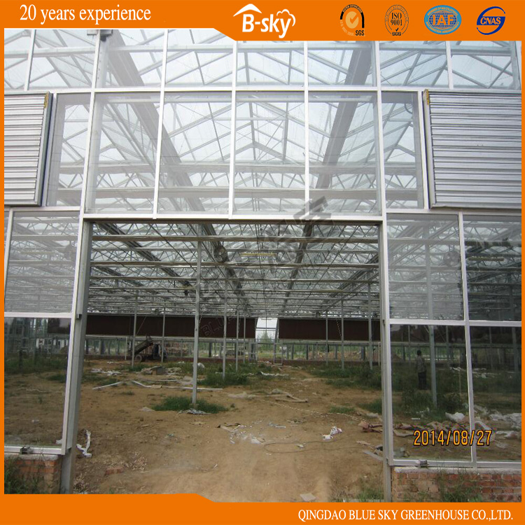 Beautiful Appearance Long Life-Span Greenhouse