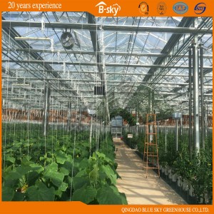 High Quality Agricultural Venlo Type Greenhouse