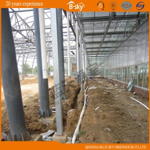 Venlo Type Glass Greenhouse with Long Life-Span