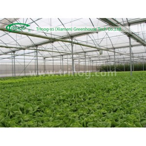 Gutter Connected Greenhouse for Hydroponics Vegetable