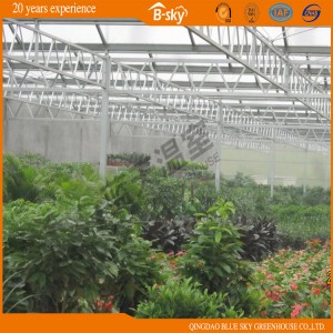 High Output Venlo Type Greenhouse Covered by Glass
