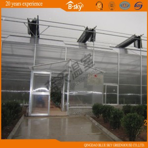 Venlo Type Greenhouse Covered by Glass