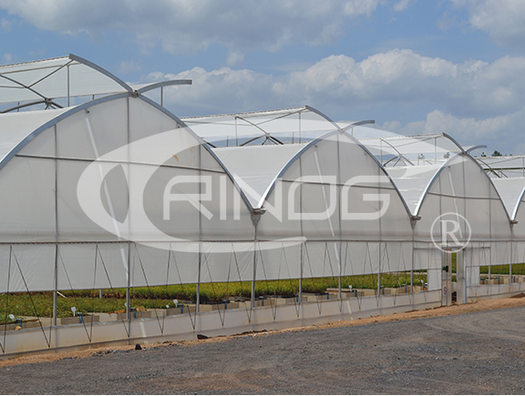 Commercial Fixed Vent Rose Greenhouse for wholesale