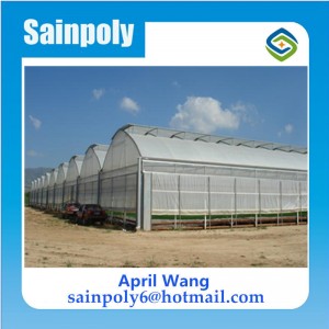 Low Price Plastic-Film Tunnel Greenhouse