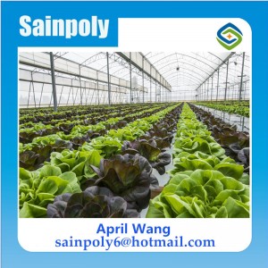The Cheapest Polycarbonate Greenhouse for Vegetable
