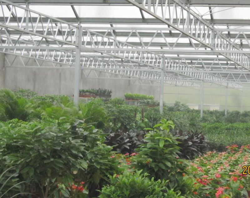 High Output Venlo Type Greenhouse Covered by Glass