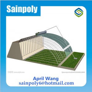 Low Price Film Solar Greenhouse for Potato