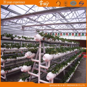 Agricultural Planting Multi-Span Greenhouse with Venlo Structure
