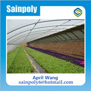 Low Price Film Solar Greenhouse for Vegetable