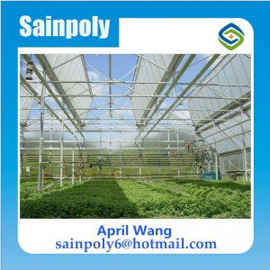 Easily Installed PC-Sheet Multi-Span Greenhouse for Growing System