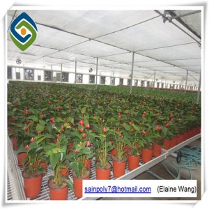 Agriculture PC Sheet Garden Greenhouse for tomatoes for Hot Slae