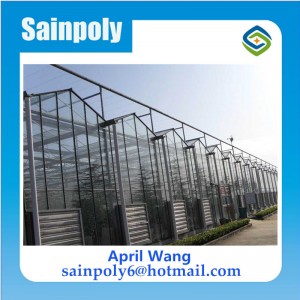Low Price Glass Multi-Span Greenhouse for Potato