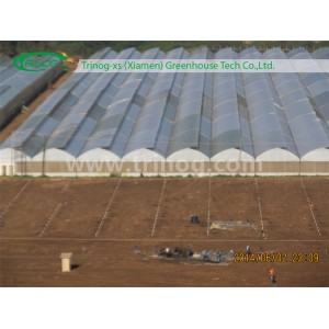 Multi Span Fixed Roof Vent Rose Greenhouse for Sale