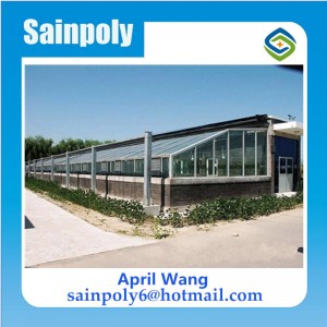 Low Price Film Solar Greenhouse for Plants