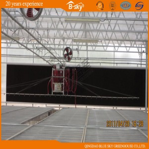 Long Life Span Polycarbonate Greenhouse