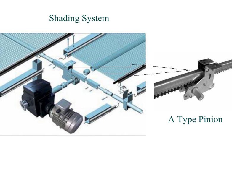 High-Quality a Type Screen Pinion Used for Modern Agricultural Greenhouse