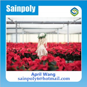Low Price Glass Multi-Span Greenhouse for Flower