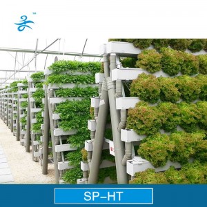 Hot Sale Agricultural Greenhouse for Hydroponics Vegetable