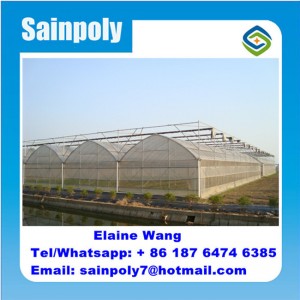 Low Cost Wholesale Plastic Film Greenhouse for Agriculture