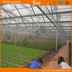 Durable Venlo Type Greenhouse Covered by Glass