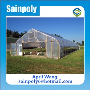 The Cheapest Mini Garden Greenhouse for Tomato