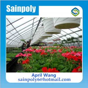 Hot Sale Glass Multi-Span Greenhouse for Flower