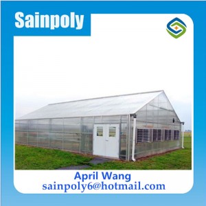 The Cheapest Polycarbonate Multi-Span Greenhouse