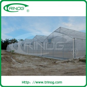 Multi Span Fixed Vent Rose Greenhouse for Sale