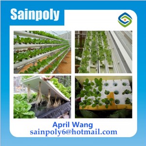 Low Cost Plastic Film Agricultural Hydroponic Greenhouse System
