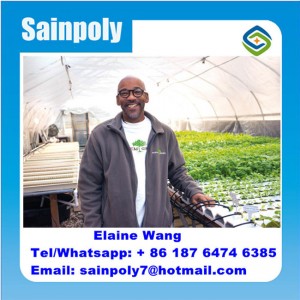 Double Layer PC Sheet Agricultural Greenhouse