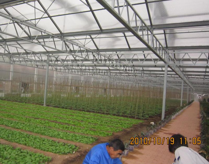 High Production Venlo Type Greenhouse Covered by Glass