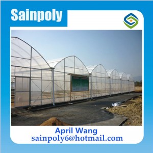Low Cost Plastic-Film Agricultural Greenhouse for Sale