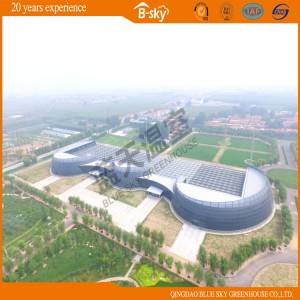 Practical Multi-Span Glass Greenhouse with Venlo Structure