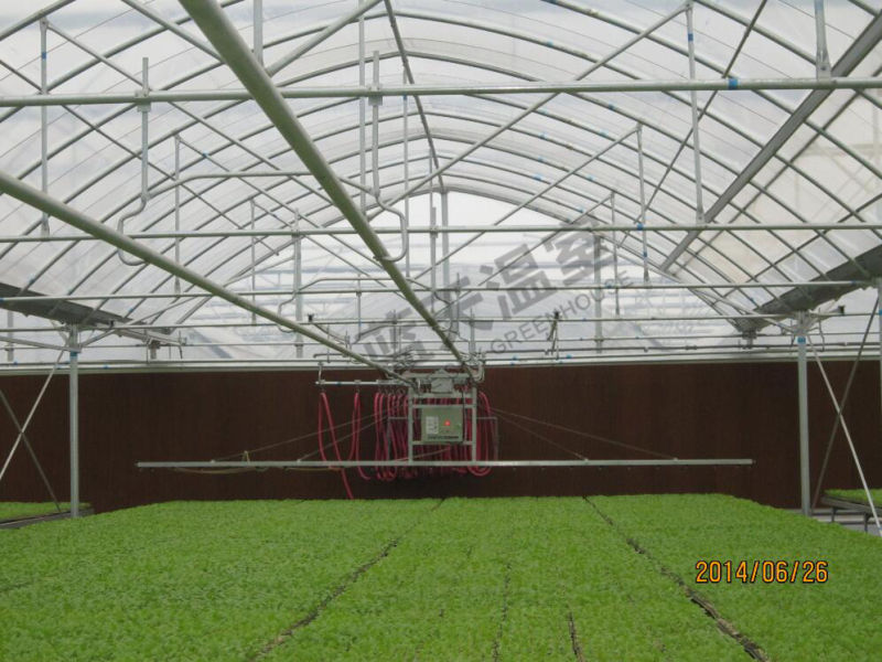 China Supplier High Quality Single-Layer Film Greenhouse