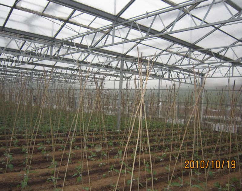 Durable Venlo Type Greenhouse Covered by Glass
