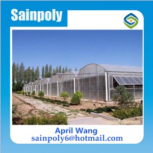 Wholesale Steel and PC-Sheet Multi-Span Greenhouse for Sale