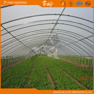 High Cost Performance Arch Single Span Greenhouse