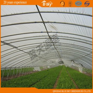 High Quality Arch Structure Film Greenhouse for Vegetable Planting