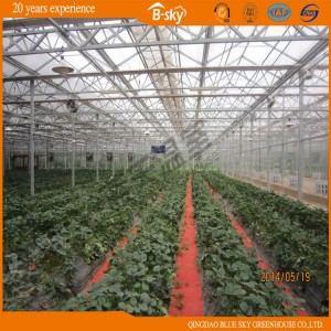 High Output High Quality Multi-Span Glass Greenhouse